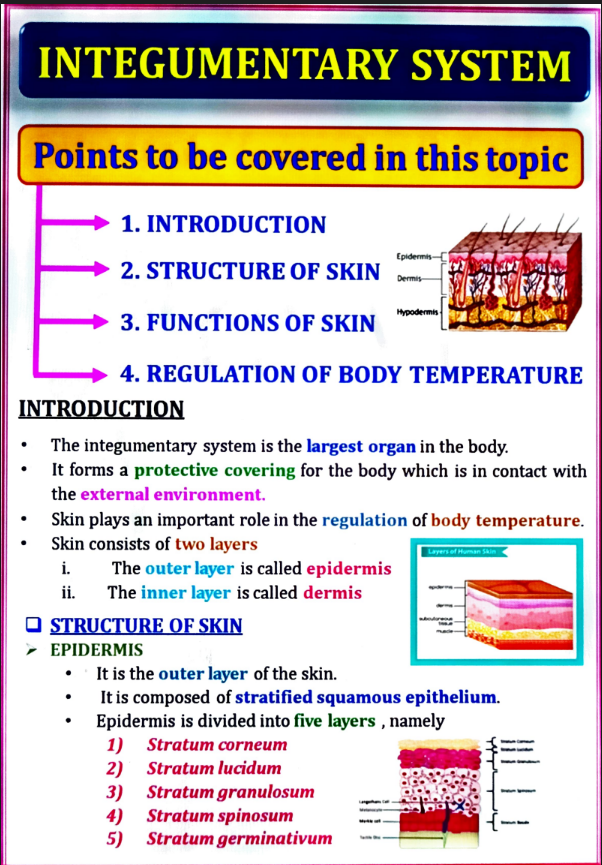 Human Anatomy and Physiology – I (B. Pharm, 1st Semester) - Unit 2