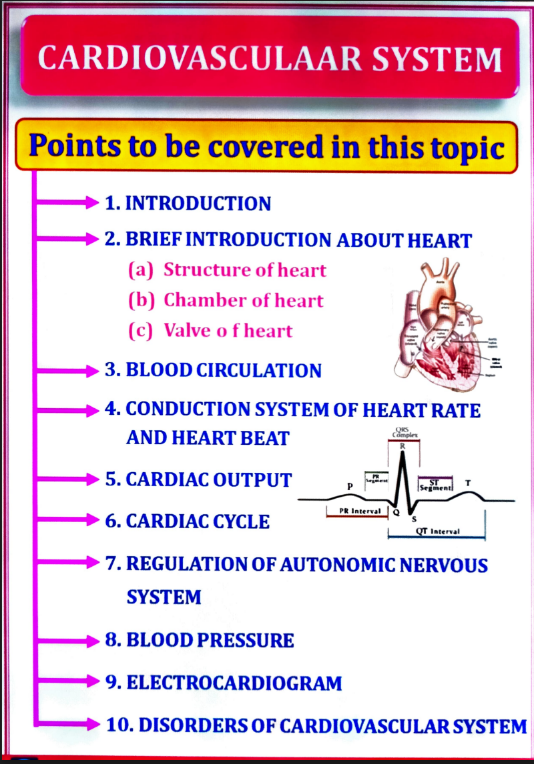Human Anatomy and Physiology – I (B. Pharm, 1st Semester) - Unit 5